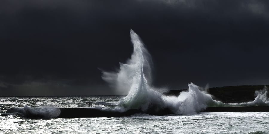 Le poignard de mer